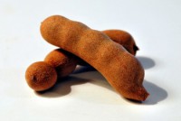 /album/nos-ingredients-naturels1/tamarinzd-jpg/